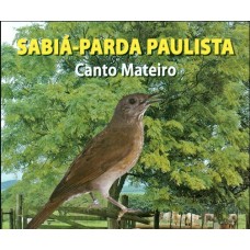 9224 - CD JTC SABIA PARDAO PAULISTA